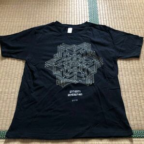 Tシャツ RADWINPS ラッドウィンプス ツアー ライブ