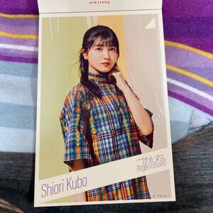 乃木坂46 ごめんねfingers crossed ポストカード 久保史緒里