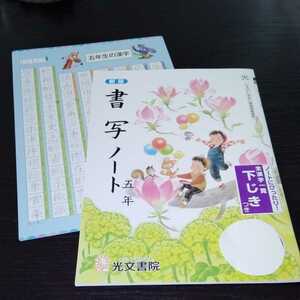 Hド18 5年生　学習 ドリル 問題集 国語 算数 漢字 理科 社会 英語 テスト 勉強 小学生 テキスト テスト用紙 教材 文章問題 計算 家庭学習