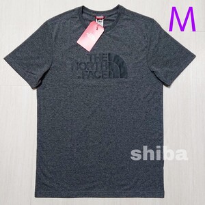 THE NORTH FACE ノースフェイス tシャツ 半袖 トップス 灰色 グレー 海外限定 イージー Easy 海外Mサイズ