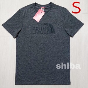 THE NORTH FACE ノースフェイス tシャツ 半袖 トップス 灰色 グレー 海外限定 イージー Easy 海外Sサイズ