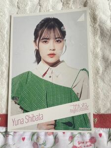 ★乃木坂46「ごめんねFingers crossed」ポストカード　柴田柚菜★新品未使用品