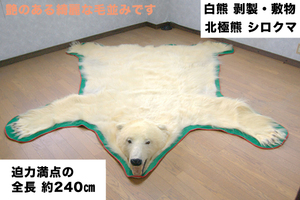 【581】美品!! 全長 約240㎝ 白熊 シロクマ 北極熊 剥製・敷物■貴重 状態良■絶滅危惧種■白くま 壁掛け 大型 コレクション
