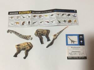 UHA味覚糖 チョコラザウルス 恐竜古代生物フィギュアコレクション第2弾 ブラキオサウルス