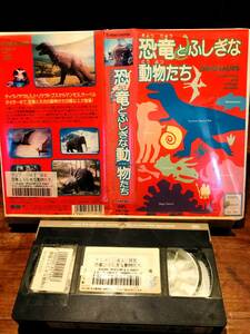[VHS] dinosaur ..... animal ..