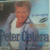 ピーター セテラ peter cetera 愛だけが証し only love knows why ８７年 ep 7inch AOR 元 シカゴ chicago シングル エディット _画像1