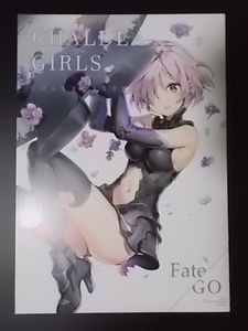 同人誌 A4 Fate CHALDEA GIRLS COLLECTION　メガネ少女 Anmi 条件付き送料無料