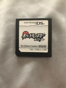 ポケットモンスターホワイト DSソフト 全種捕獲済み 色違い多数