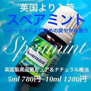 スペアミント精油5ml(10ml変更可)