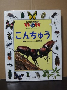 21世紀幼稚園百科 こんちゅう /中古本!!