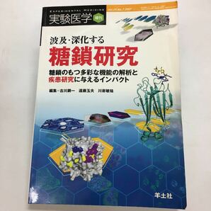 波及深化する糖鎖研究 糖鎖のもつ多彩な機能の解析と疾患研究に与えるインパ ２５-７/羊土社/古川鋼一 (単行本)