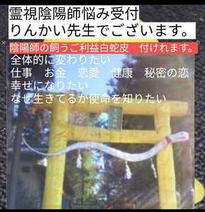 霊道調整破格　霊視します。悩み前世全て霊視金運龍神厄除けお守りつき　りんかい先生ヤフオク大人気