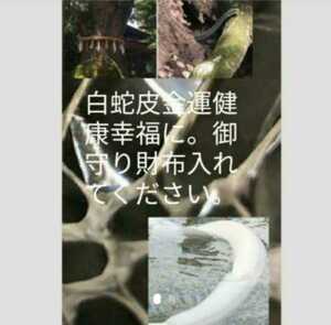 陰陽師手作り金運厄除け最大金運あなたを底上げしお祓いし配達　金運龍神白蛇皮先生大人気パワー最大　ひとつで安心白蛇皮お守り