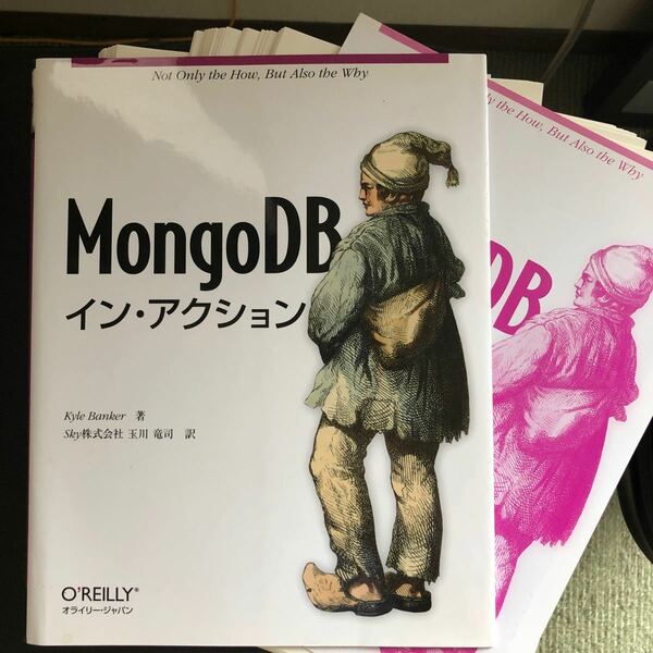 【裁断済み】 MongoDBインアクション/KyleBanker/玉川竜司