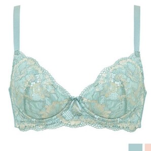 ブラデリス ステップ1 75F 新品