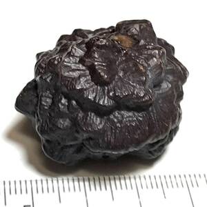 ユニークな形状のエジプト産褐鉄鉱・ゼットストーン・預言石・63・42g（エジプト産鉱物標本）