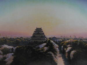 Art hand Auction Hiroshi Nakane, [Nagoya Castle in the Morning Sun], From a rare collection of framing art, New frame included, In good condition, postage included, Painting, Oil painting, Nature, Landscape painting