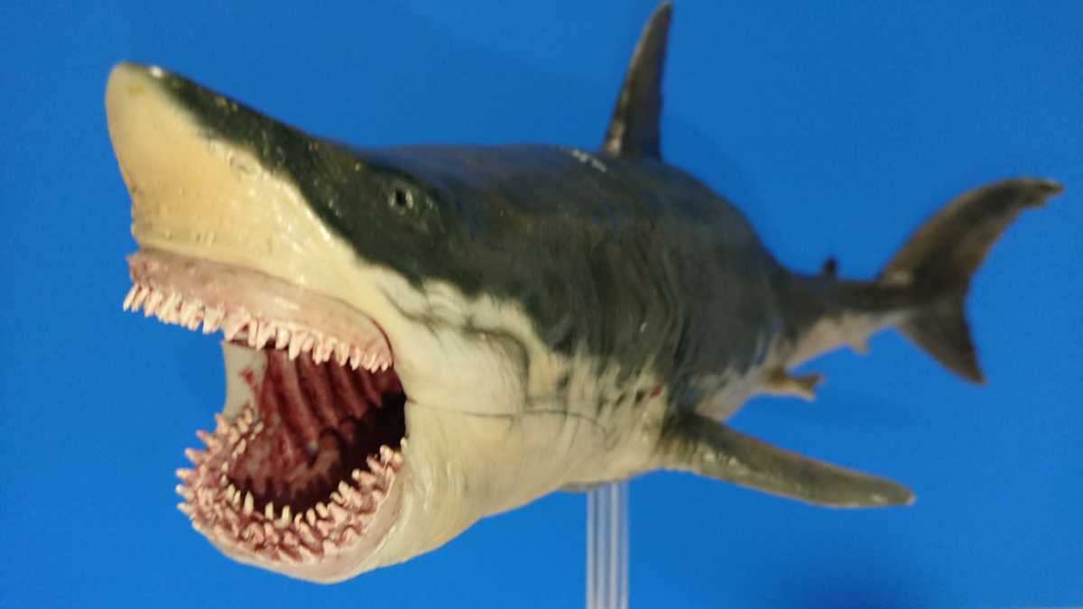 2025年最新】Yahoo!オークション -ジョーズフィギュアの中古品 2025年最新】Yahoo!オークション -ジョーズフィギュアの中古品