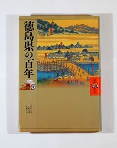 360000徳島 「徳島県の百年 (県民100年史)」三好昭一郎 佐藤正志 松本博　山川出版社 B6 125940