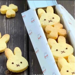クッキー型 ミッフィーみたいなうさぎ