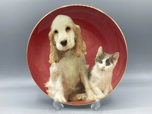 ロイヤルウースター 犬 猫 Henry and Molly 直径21cm 飾り皿 絵皿 皿 ⑬ (763）