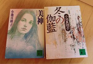 小説 講談社文庫 美神 ミューズ 冬の伽藍 小池真理子