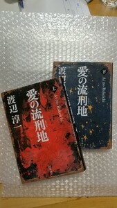 愛の流刑地 上下 セット