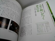 聖樹巡礼 幸せを呼びこむスピリチュアル・ツリーに出会う 杉原梨江子/PHP研究所【即決】_画像7