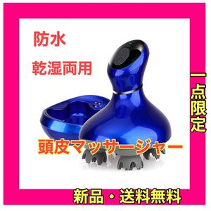 電動頭皮ブラシ スマート・振動版 IPX7防水 乾湿両用 日本3D技術 10分定時オフ 浴室利用可 USB充電 コードレス家庭用