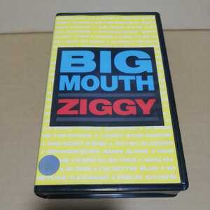 VHS ZIGGY BIG MOUTH 1989　バンドブーム　※ソフトケースなしならネコポス発送可能です。