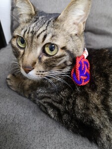 猫 首輪 和風