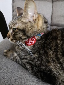 猫 和柄 首輪