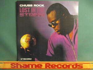 Chubb Rock ： Lost In The Storm 12'' // Marley Marl / Trakmasterz / 落札5点で送料無料