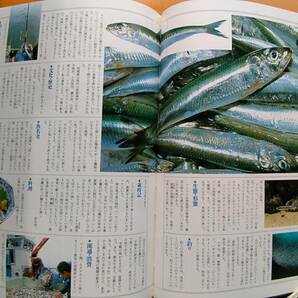 送料無料！ 絶版入手困難本！「釣りと魚大百科 全4冊セット！」淡水魚＆海水魚全魚種網羅! 学術・釣り方・料理・文化紹介釣り大百科事典の画像5