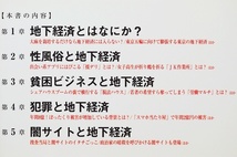 ★送料無料★ 日本の「地下経済」最新白書 闇で蠢く26.5兆円の真実 闇風俗 暴力団産業 貧困ビジネス 闇サイト 富裕層の税金逃れ 門倉貴史_画像3