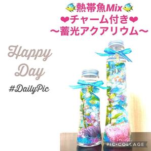 【熱帯魚】〜人魚姫〜夢グラデーション蓄光アクアリウム 2本セット♪