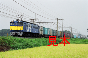 鉄道写真、35ミリネガデータ、128428360015、EF65-1059＋貨物、JR東北本線、蓮田～東大宮、2001.08.30、（3051×2023）