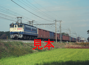 鉄道写真645ネガデータ、130028450004、EF65-1091＋貨物、JR東北本線、蓮田～東大宮、2001.11.08、（4516×3307）
