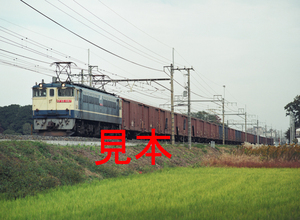 鉄道写真645ネガデータ、130128460006、EF65-1087＋貨物、JR東北本線、蓮田～東大宮、2001.11.15、（4328×3169）