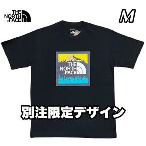 THE NORTH FACE ノースフェイス スクエアロゴ グラフィック 別注限定デザインTシャツ