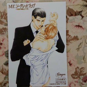 非売品★BL剣解「Mr.シークレットフロア～小説家の戯れなひびき～」とらのあなプロマイド