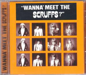 ☆THE SCRUFFS(スクラフス)/Wanna’ Meet The SCRUFFS?”◆77年発表のBig Starに並ぶメンフィス産パワーポップの超大名盤◇初CD化＆レア