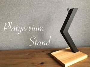 Platycerium-stand ビカクシダスタンド / カラー:ナチュラル