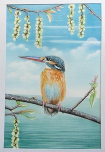 0 color pencil .* home delivery 80 size * animal picture bird (203×308) picture illustration 