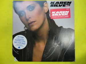 Karen Silver - Hold On I'm Comin' オリジナル原盤 US LP ダンサブル・サウンド Fake / Can't Stop Dancing / Hot Stuff 収録　視聴