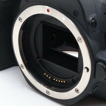 中古 美品 Canon EOS Kiss X9 ダブルズームセット キャノン 一眼レフ カメラ 人気 初心者 おすすめ 新品8GBSDカード付_画像6