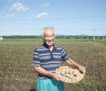 秀さんの自然栽培 片栗粉（いやしのでん粉 ）(300g)X2袋☆北海道の自然栽培の哲人が作りました☆無肥料無農薬☆良品原料を使用☆_画像3