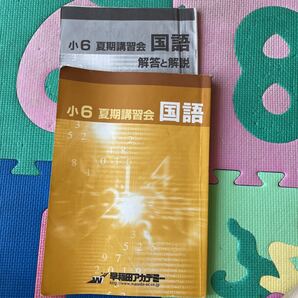 問題集 国語 中学入試 小6 早稲田アカデミー 夏期講習 テキスト