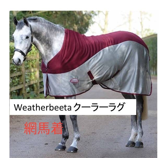 最大40%OFFクーポン 乗馬用 リゲルナイト 虫よけフライシート alassema
