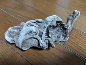 * natural driftwood aquarium 1 point thing aquarium objet d'art art 17.5×9.5×7.5cm Yamato river outfall reptiles interior 